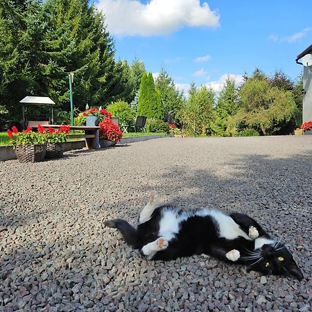 Noclegi U Przewodnikow - Zwiedzaczek Lubawka Exteriör bild