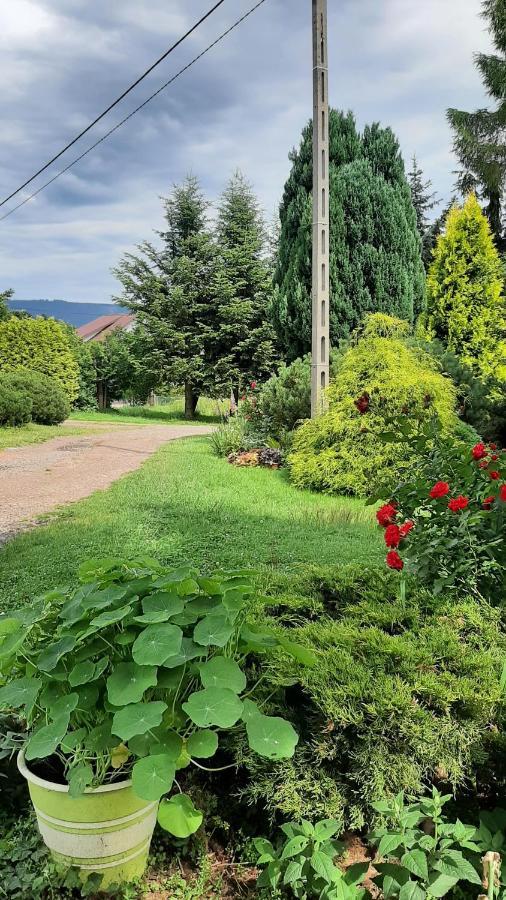 Noclegi U Przewodnikow - Zwiedzaczek Lubawka Exteriör bild