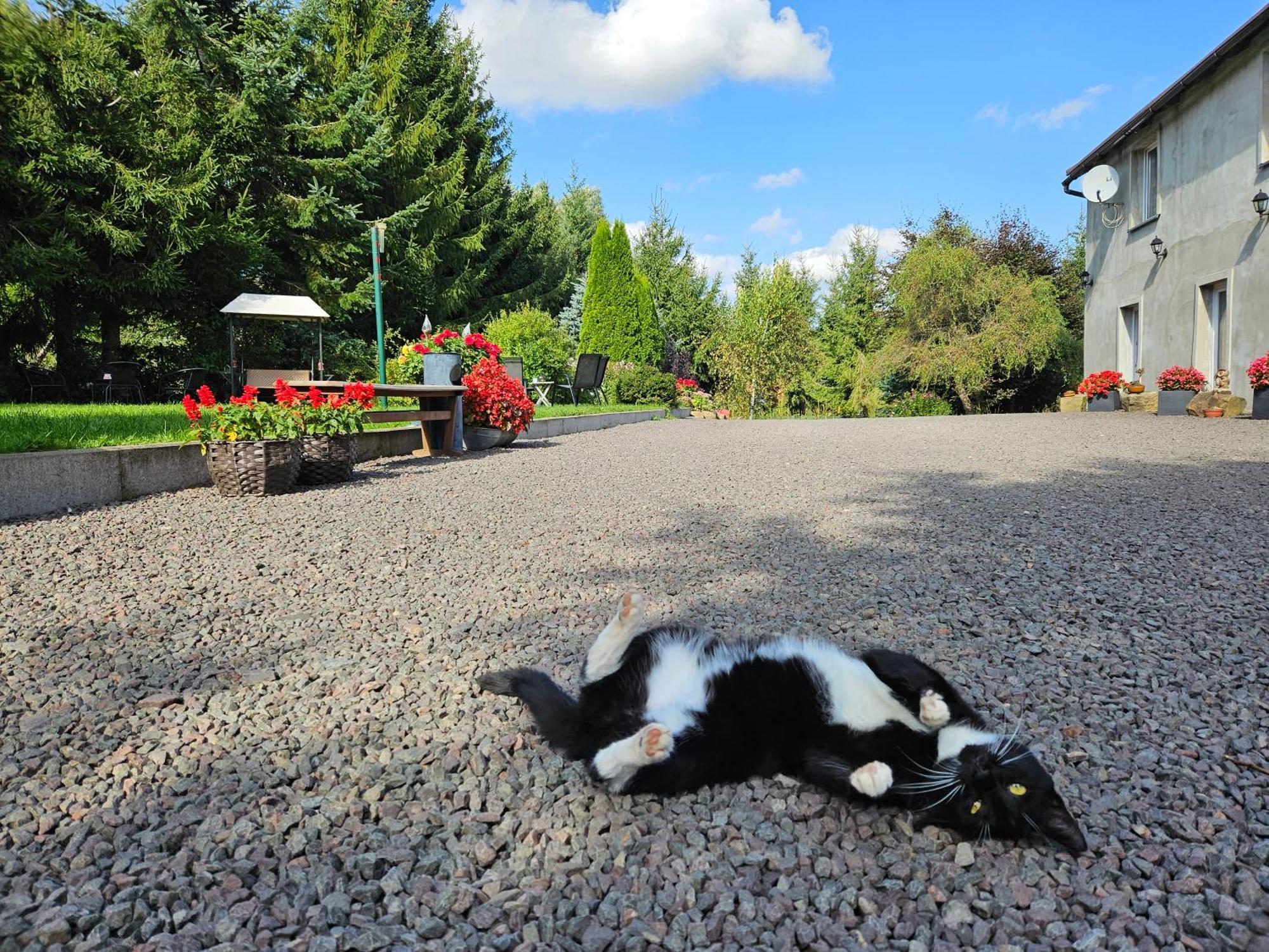 Noclegi U Przewodnikow - Zwiedzaczek Lubawka Exteriör bild